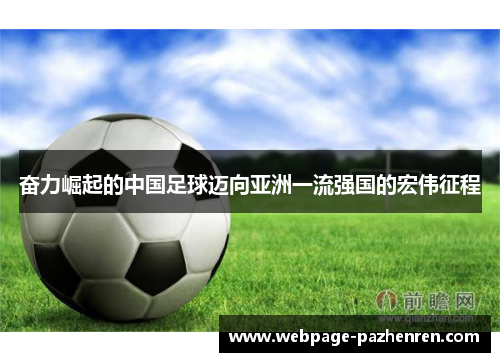 奋力崛起的中国足球迈向亚洲一流强国的宏伟征程