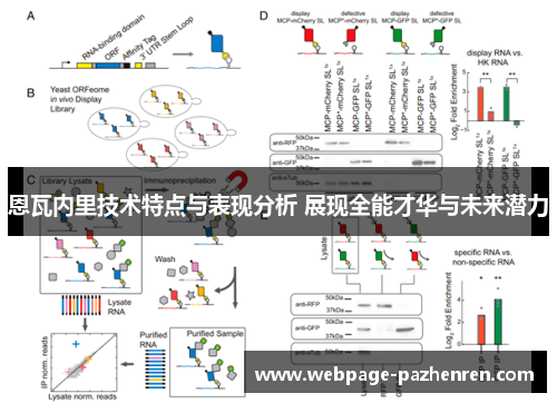 恩瓦内里技术特点与表现分析 展现全能才华与未来潜力 恩瓦内里技术特点与表现分析 展现全能才华与未来潜力