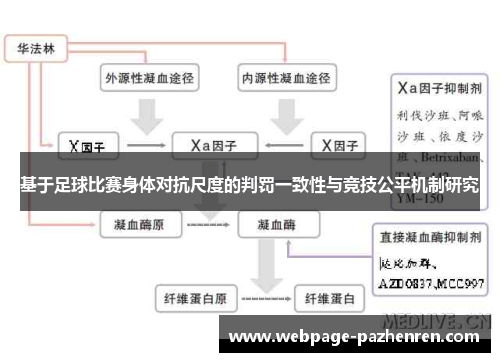 基于足球比赛身体对抗尺度的判罚一致性与竞技公平机制研究 基于足球比赛身体对抗尺度的判罚一致性与竞技公平机制研究