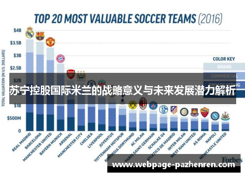苏宁控股国际米兰的战略意义与未来发展潜力解析
